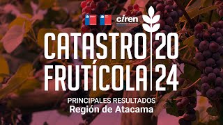 Catastro Frutícola 2024 - Región de Atacama