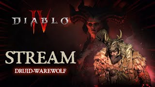 Друид Оборотень Яд  STREAM Diablo 4