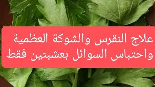 علاج النقرس والشوكة العظمية وإحتباس السوائل فى الجسم بعشبتين فقط