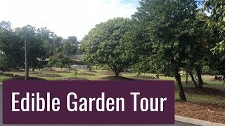 Fruit Tree and Edible Garden Tour at Brisbane Botanical Gardens