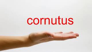 How to Pronounce cornutus - American English