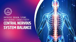 Binaural Beats for Central Nervous System Balance | Improve Brain, Spine, and Nerve Connectivity