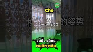 #cuocsongmuonmau #shorts (268)