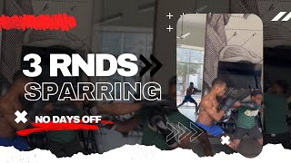 3 Rounds of Sparring | Boxing No HeadGear