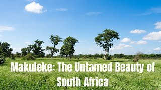 Makuleke  The Untamed Beauty of South Africa