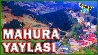 MAHURA YAYLASI İKİZDERE