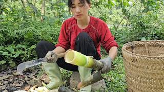 Daily life on the island: Cooking bamboo shoots stuffed with meat - Lý Thị Hoa