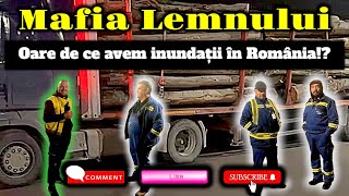 Mafia Lemnului! | Se taie și se exportă pe bandă rulantă! | Oare de ce avem inundații? | Video 137