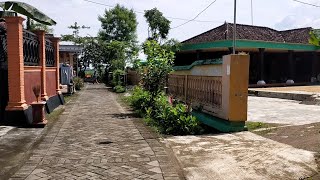 Kampung Yang Indah Di Pinggir Persawahan || Pedesaan Tulungagung Jawa timur