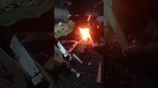 Bakar bakar #shortvideo #shortsfeed #liwet