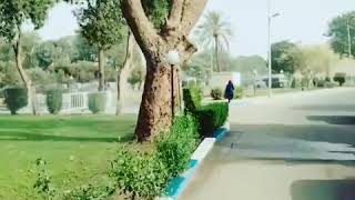 جامعة بغداد جادرية 😍