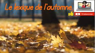 Le lexique de l'automne avec Madame T! 😎 La musique calme!