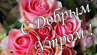 С ДОБРЫМ УТРОМ ! 🌼Желаю Самого Доброго Солнечного Утра!🌼  Шикарная Музыкальная открытка 🌼