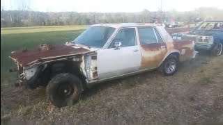 My 1984 Dodge diplomat ex-Memphis police car. #nonamenationals