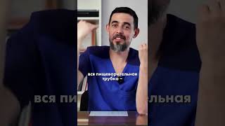 А вы знали, что наша пищевая трубка – это внешняя среда? 🤯 #доктормасгутов #здоровьебезлекарств