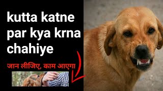 kutta katne par kya krna chahiye #dogbite #puppybite