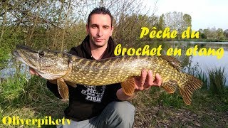 Beau brochet de 84 cm !!!