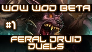 WoW WoD Beta | Feral Druid Duels #1