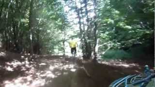 SWUP Bike Park 2012 - My faith in the woods