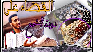 القضاء على دودة 🪱 الشمع