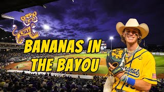 BANANAS IN THE BAYOU OF BATON ROUGE!