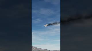 EPIC FOOTAGE F22 DESTROYS SU57!!! #f22 #su57 #dcs #shorts #milsim #gaming