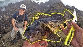 He drove 2000 MILES from Minnesota to EAT THIS FISH!