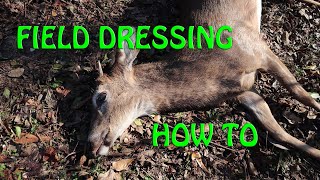 How To Field Dress A Deer Correctly-Easiest Way To Gut A Deer-Redone W/Better Footage!