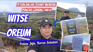 Mencapai Puncak Witse Oreum di Gunung Halla