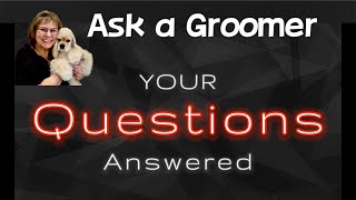 Ask a Groomer about Dog Grooming Tips, Tricks and Techniques! Ask a Certified Master Groomer today!