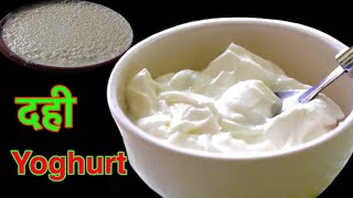 Plain Yoghurt Recipe || घरमै यती मिठो सादा दही बनाउनुहोस। सस्तो, स्वास्थ्य अनी स्वादिष्ट पनी || दही