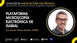 🔬 Plataforma de Microscopía Electrónica