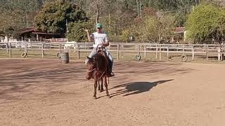 Cavalo agitado na hora de montar? Faça esses exercícios!