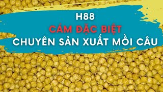 Cám Nền H88 HẢI VƯƠNG chuyên dùng để sản xuất mồi câu cá