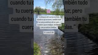 La lámpara del cuerpo es el ojo; en el reflejas bondad o oscuridad. #palabradedios #fe #bondad #dios