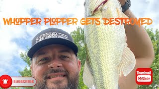 Slaying Bass On The Whopper Plopper. #bassfishing #topwater #whopperplopper