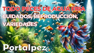 Top Peces de agua fría: cuidados, reproduccion |guía completa