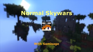 totally normal minecraft skywars