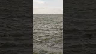 ওরে নীল দরিয়া আমায় দে রে দে ছাড়িয়া। #shortsvideo #river #padma #padmariver #waves #viral #nature