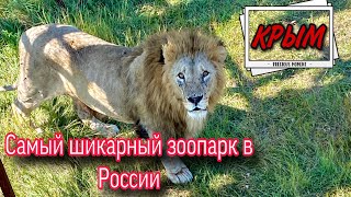 Парк львов «Тайган» в Крыму - самый крутой зоопарк в России