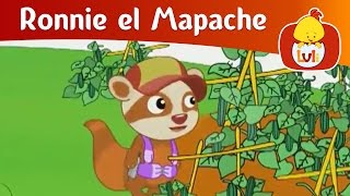 Ronnie el Mapache - Calabaza, Luli TV