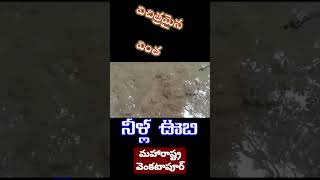 తోగుల వెంకటాపురం మహారాష్ట్ర నీళ్ల ఊబి #sm6tvshorts