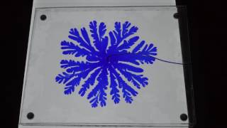 Saffman-Taylor instability (dyed water into glycerol)