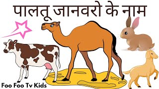 पालतू जानवरों के नाम हिंदी और इंग्लिश मे 🐮Pet Animals Name #पालतूजानवर  #forkids #kidseducation