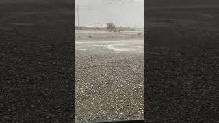 hailstorm | rain in desert