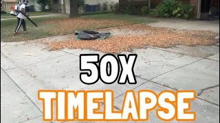 50X Time Lapse Of A 30 Min Leaf Cleanup