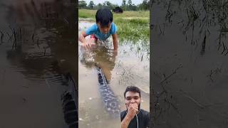 Survival Skills: Kid Catching Big Fish 😱 #shorts #fish