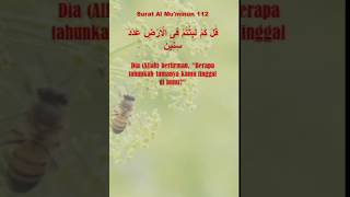 Surat Al Mu'minun 112-114: Di Bumi Hanya Sebentar | Petikan Ayat Al Quran