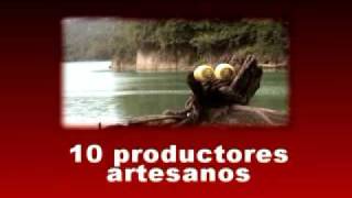 Feria San Jacinto Ocosingo 2010.flv