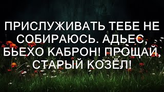 Прислуживать тебе не собираюсь. Адьес, бьехо каброн! Прощай, старый козёл!  || Тристен Сантос